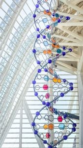 Sculpture d'ADN colorée au sein du complexe scientifique.